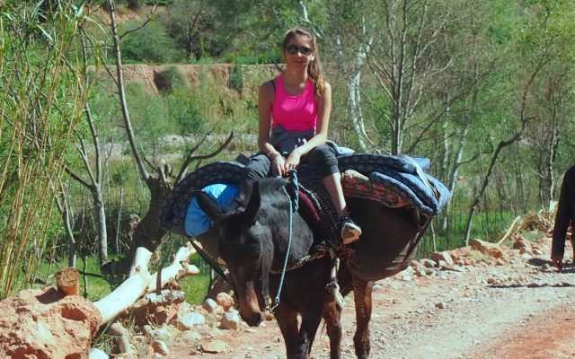 Randonnée muletière aux alentour du gîte Tawada